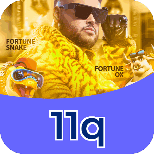 11q
